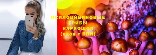 прущие крисы Киренск
