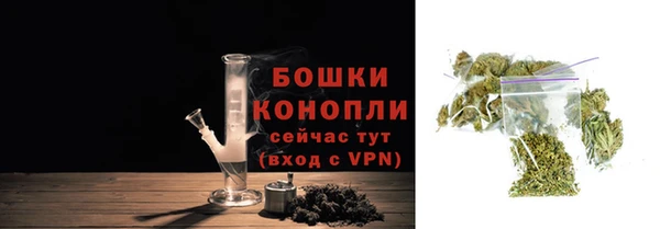 тгк Касимов