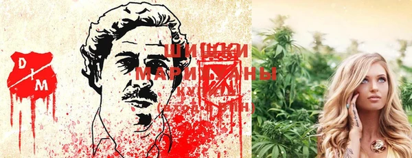 прущие крисы Киренск