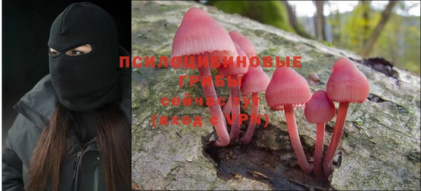 прущие крисы Киренск