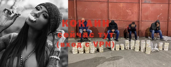 мет Кинешма